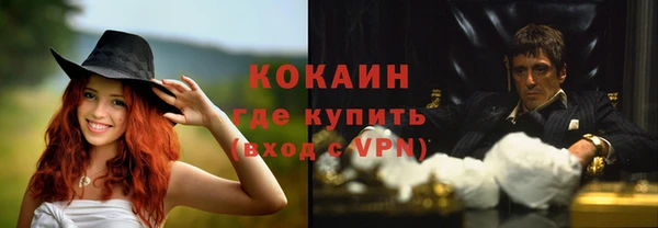 стаф Балахна