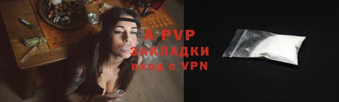 стаф Балахна