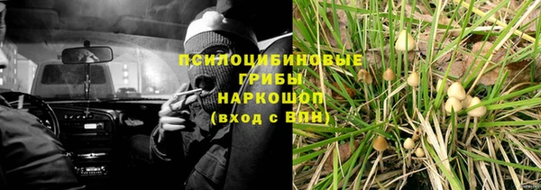 стаф Балахна