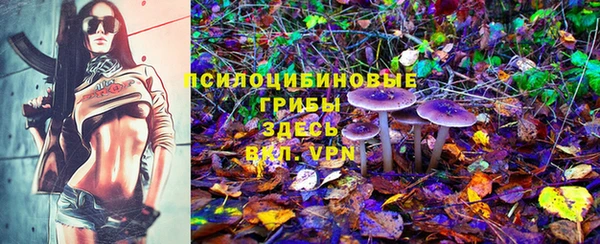 стаф Балахна