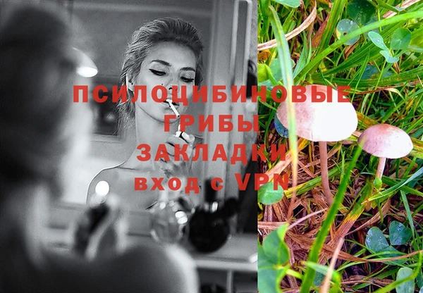 MESCALINE Баксан