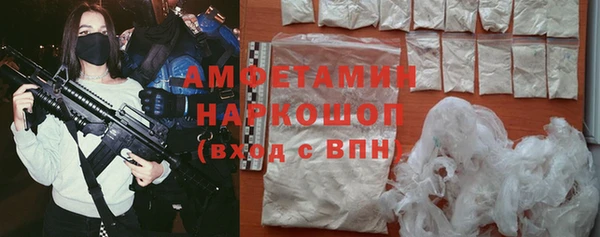стаф Балахна